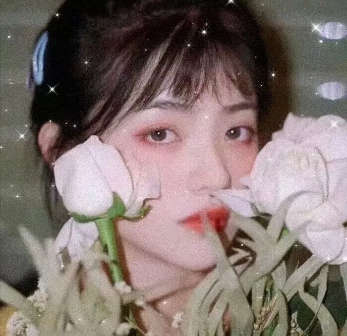 深林欲